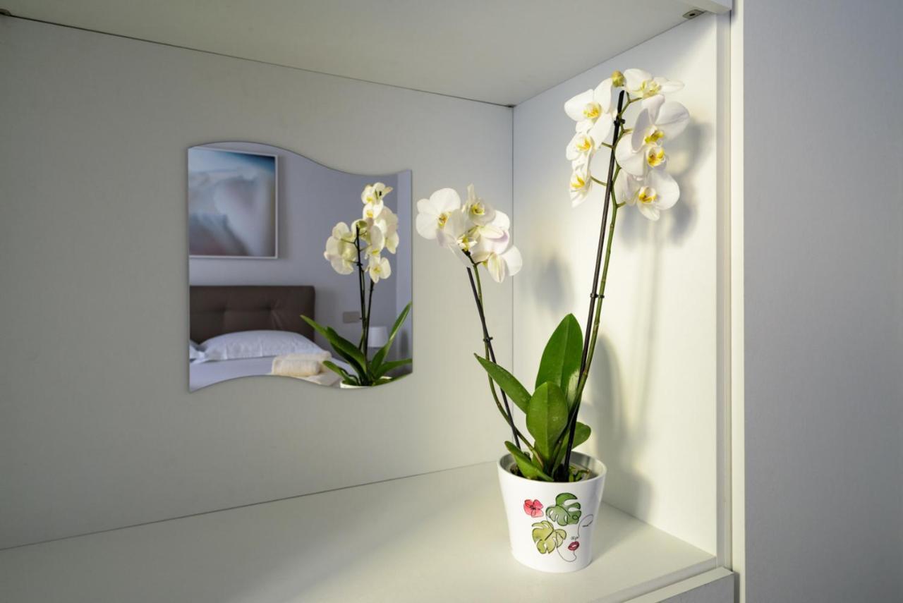 Pisa Art Apartment المظهر الخارجي الصورة