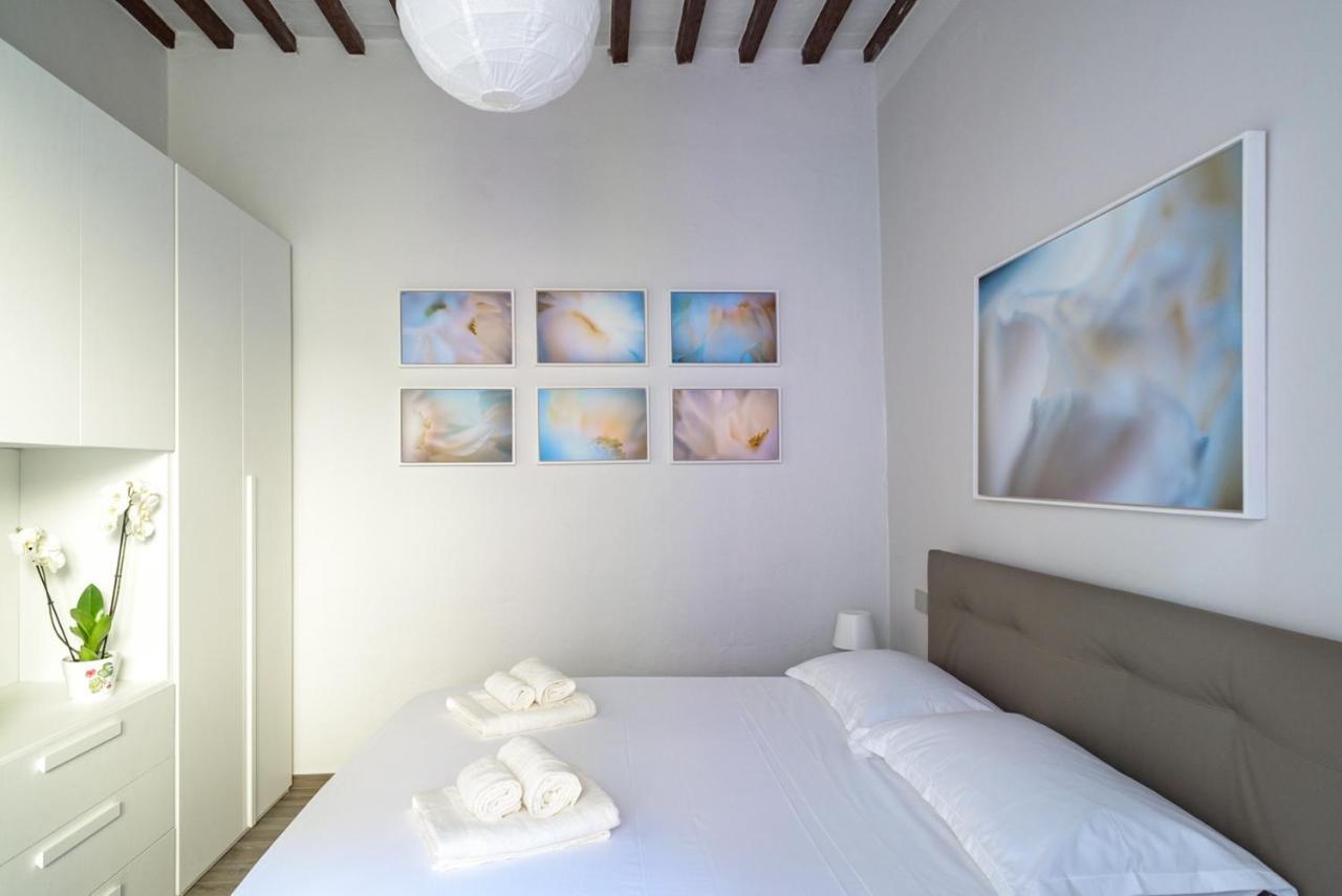 Pisa Art Apartment المظهر الخارجي الصورة