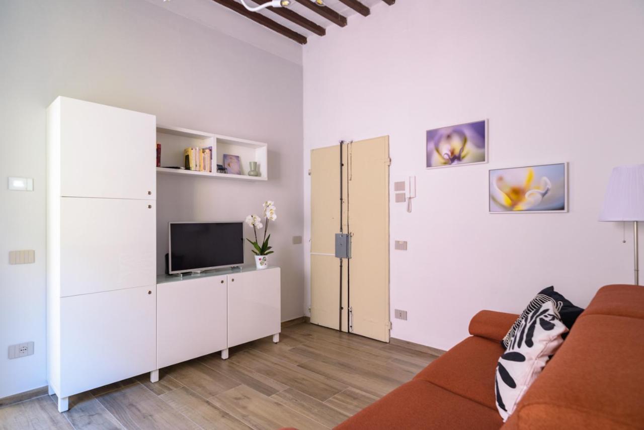 Pisa Art Apartment المظهر الخارجي الصورة