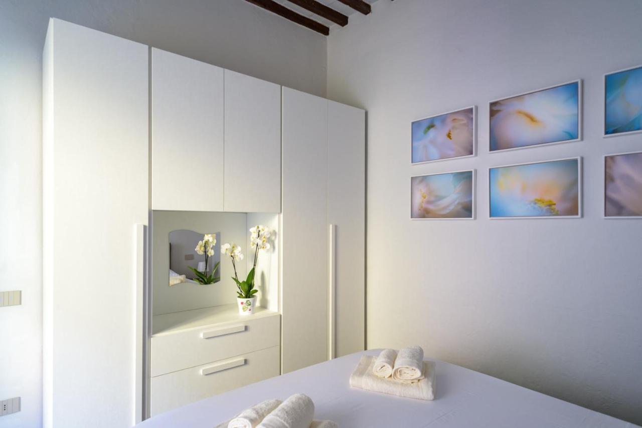 Pisa Art Apartment المظهر الخارجي الصورة